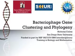 Bacteriophage Gene Clustering and Phylogeny