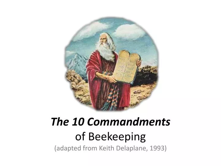 the 10 commandments of beekeeping adapted from keith delaplane 1993
