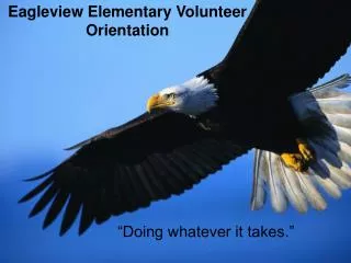 Eagleview Elementary Volunteer Orientation