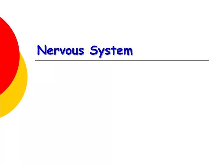 nervous system