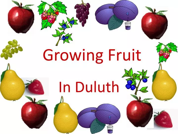 growing fruit