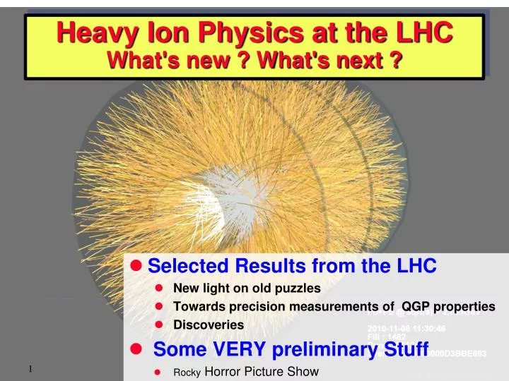 heavy ion physics at the lhc what s new what s next