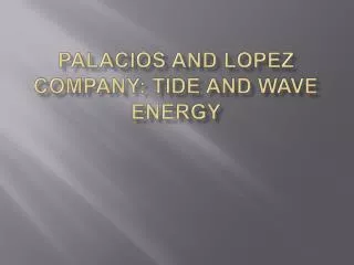 PALACIOS AND LOPEZ COMPANY: TIDE AND WAVE ENERGY