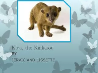 Kiya , the Kinkajou