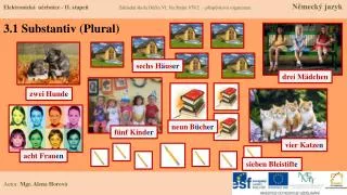 3 1 substantiv plural