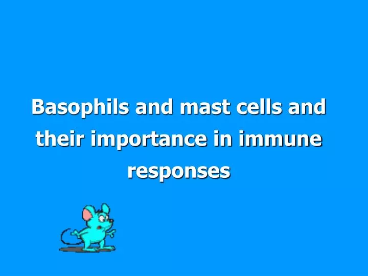 basophils and mast cells and their importance in immune responses