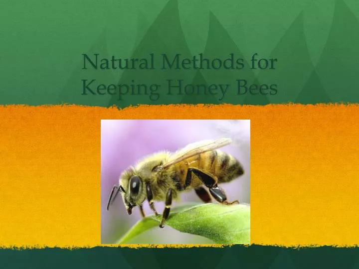 natural methods for keeping honey bees