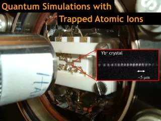 Quantum Simulations with