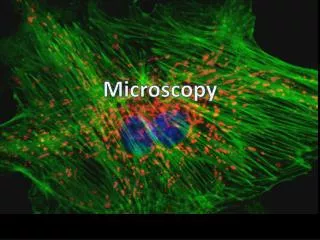 Microscopy