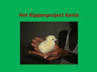 het kippenproject kenia