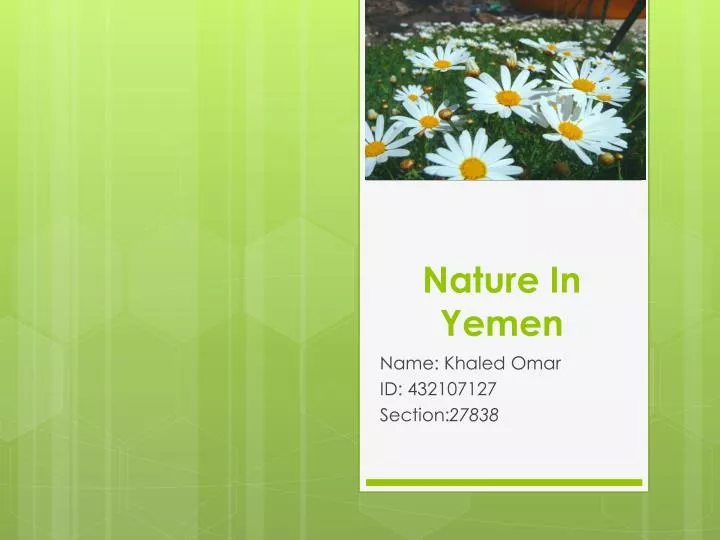 nature in yemen