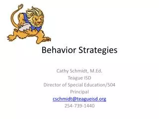 Behavior Strategies