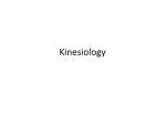 Kinesiology - slide 1