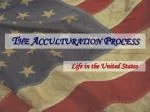 The Acculturation Process - slide 1