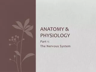Anatomy &amp; physiology