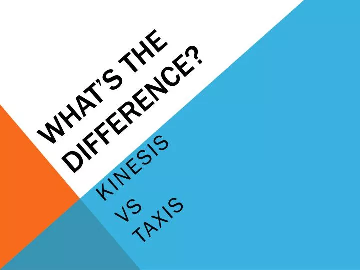 what s the difference