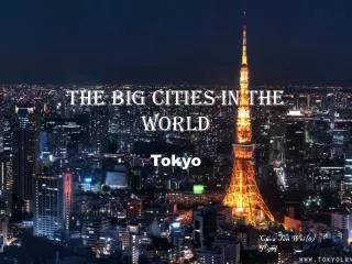 The Big cities in the world