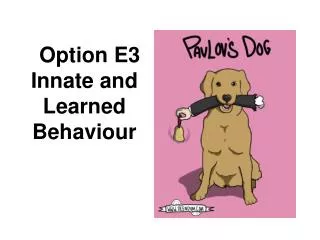 Option E3 Innate and Learned Behaviour
