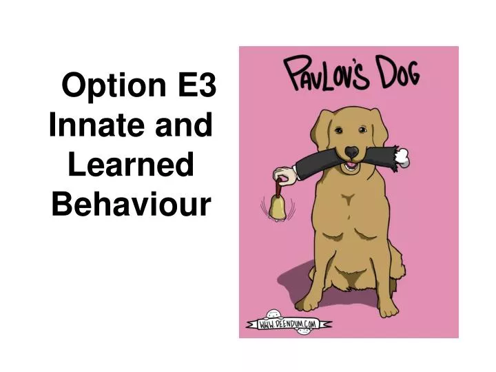 option e3 innate and learned behaviour