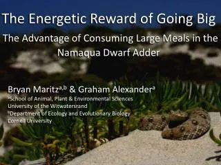 Bryan Maritz a,b &amp; Graham Alexander a a School of Animal, Plant &amp; Environmental Sciences