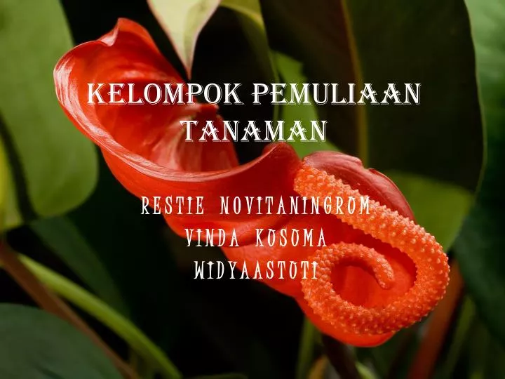 kelompok pemuliaan tanaman