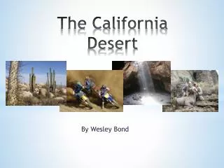 The California Desert