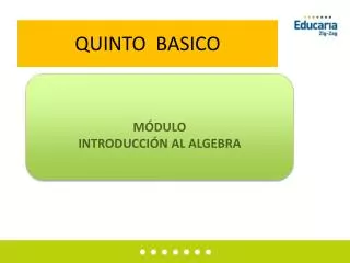 quinto basico