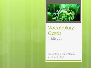 Vocabulary Cards