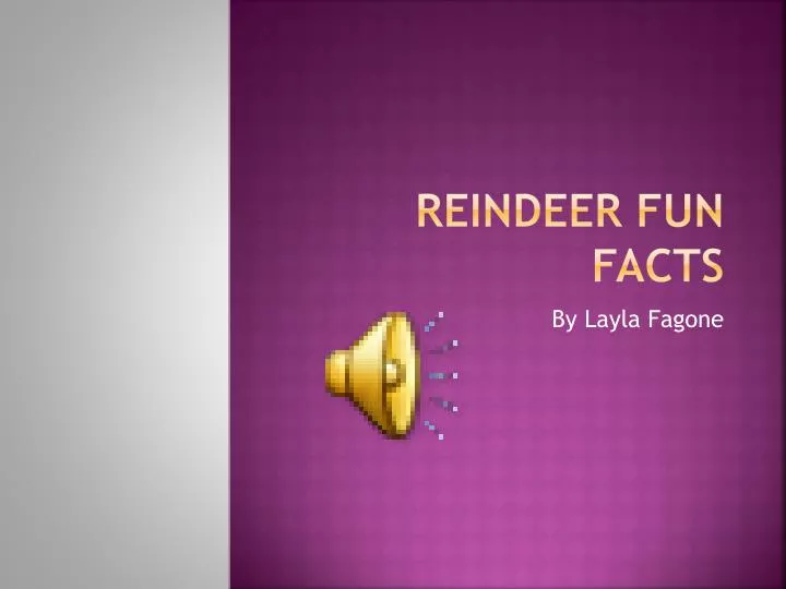 reindeer fun facts