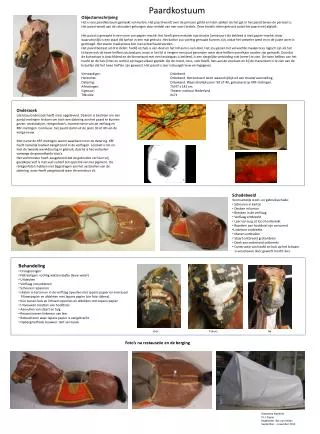 paardkostuum