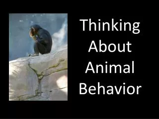 Thinking About Animal Behavior