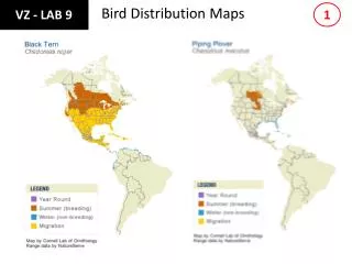 Bird Distribution Maps
