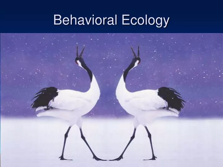 behavioral ecology