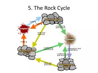 5. The Rock Cycle