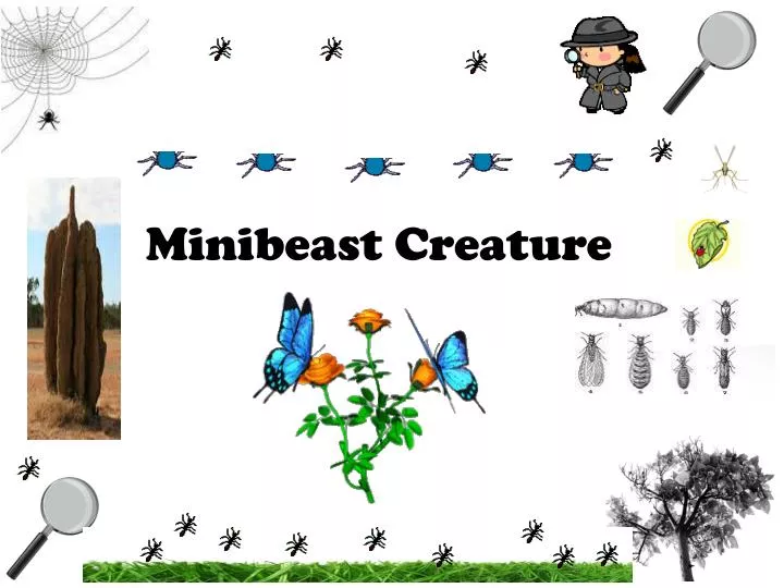 minibeast creature