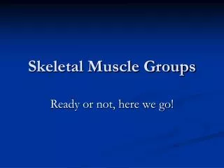 Skeletal Muscle Groups