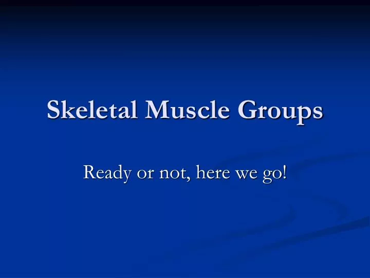 skeletal muscle groups