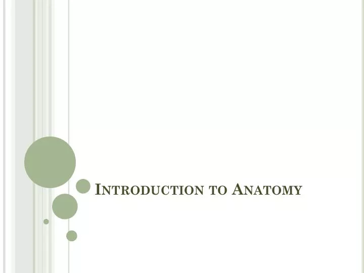 introduction to anatomy