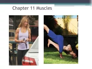 Chapter 11 Muscles