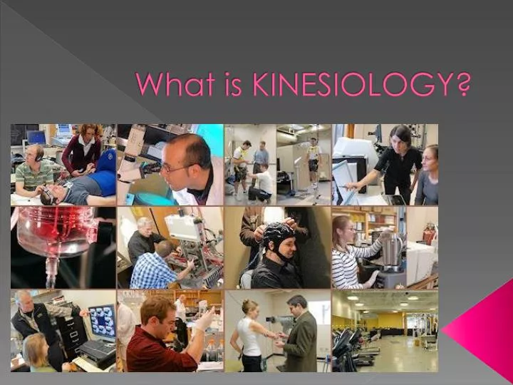 what is kinesiology