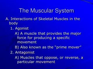 The Muscular System