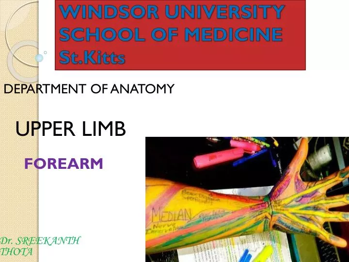 windsor university school of medicine st kitts