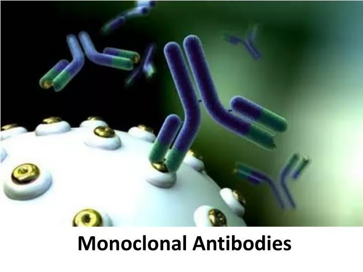 monoclonal antibodies