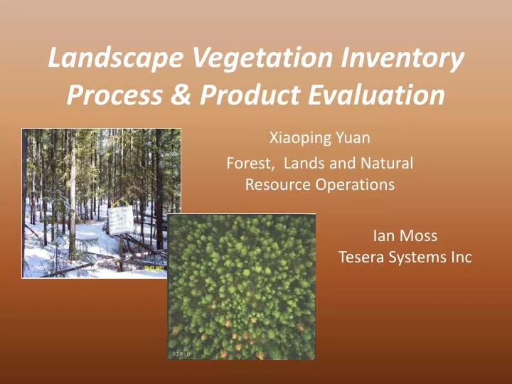 landscape vegetation inventory process product evaluation