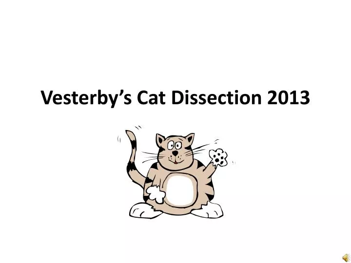 vesterby s cat dissection 2013