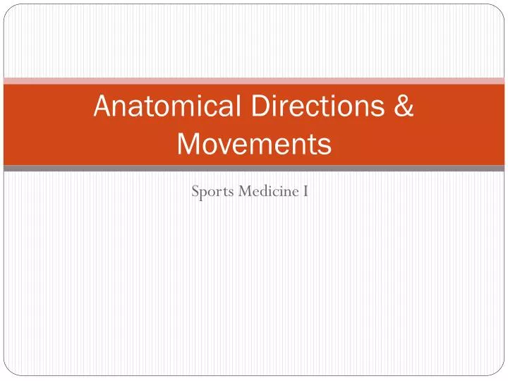 anatomical directions movements