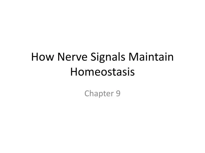 how nerve signals maintain homeostasis