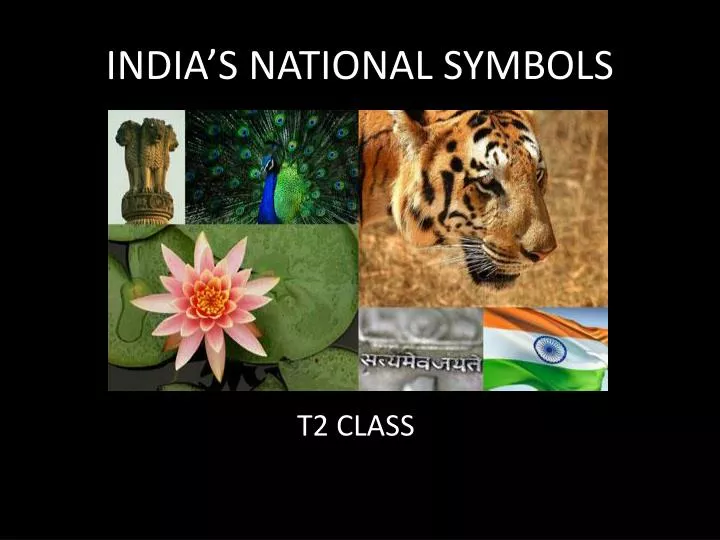 india s national symbols