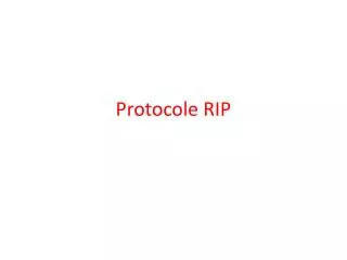 protocole rip
