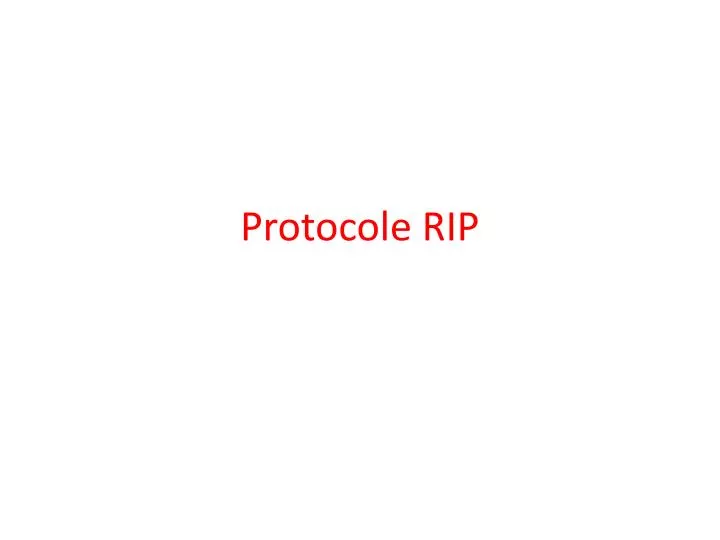 protocole rip